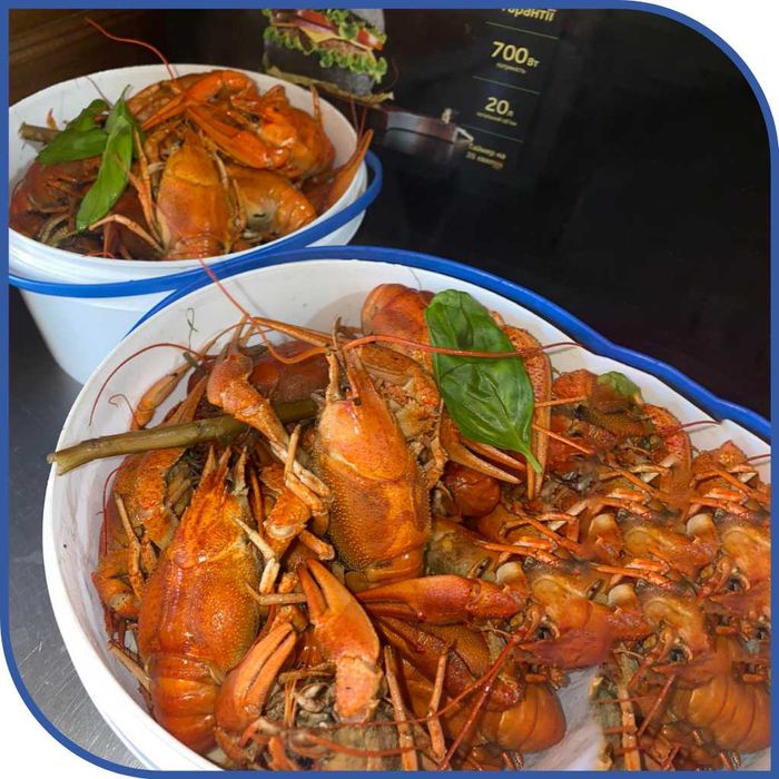 Раки варені по-одеськи
