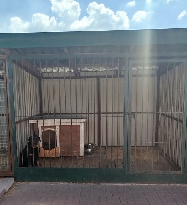 Готель, передержка для собак. Вязка собак.