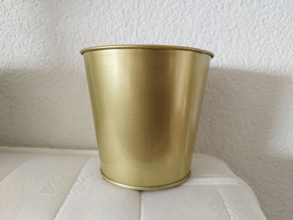 гіпеаструм амаріліс амариллис лілія кімнатна квітка кашпо