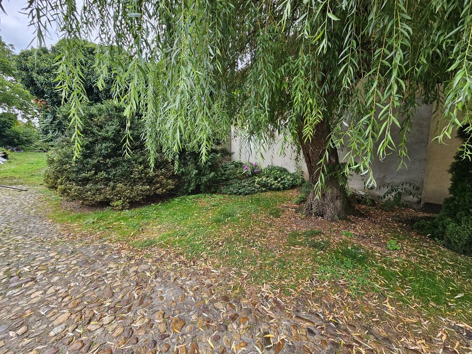 Dom – Biała - Widok 2