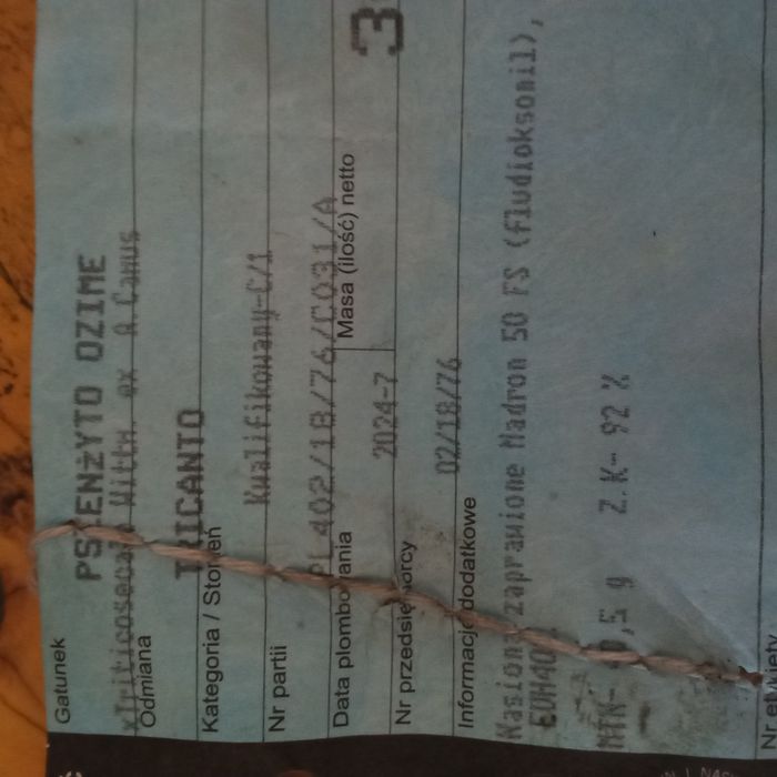 Pszenżyto Tricanto KWALIFIKAT