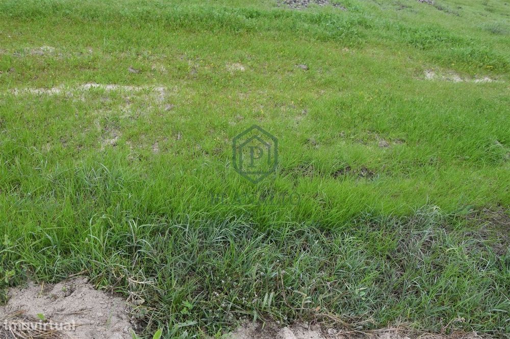 Terreno  Venda em Branca,Coruche — Branca, Santarém