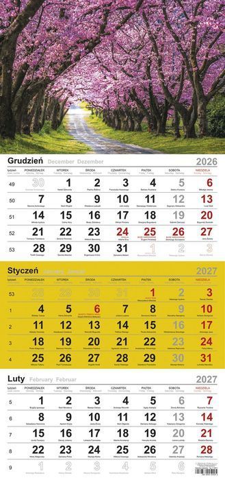 Kalendarz 2027 Trójdzielny Michalczyk I Prokop Kalendarze Nowa Nieużywana