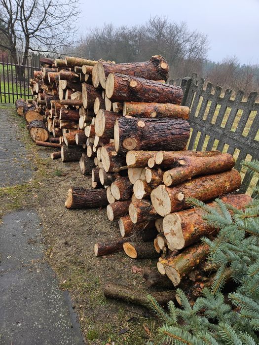 Drewno opałowe sosnowe