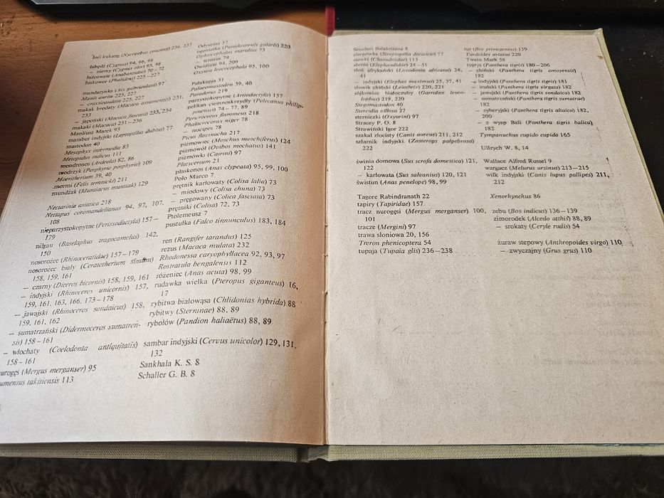 Głosy dżungli książka