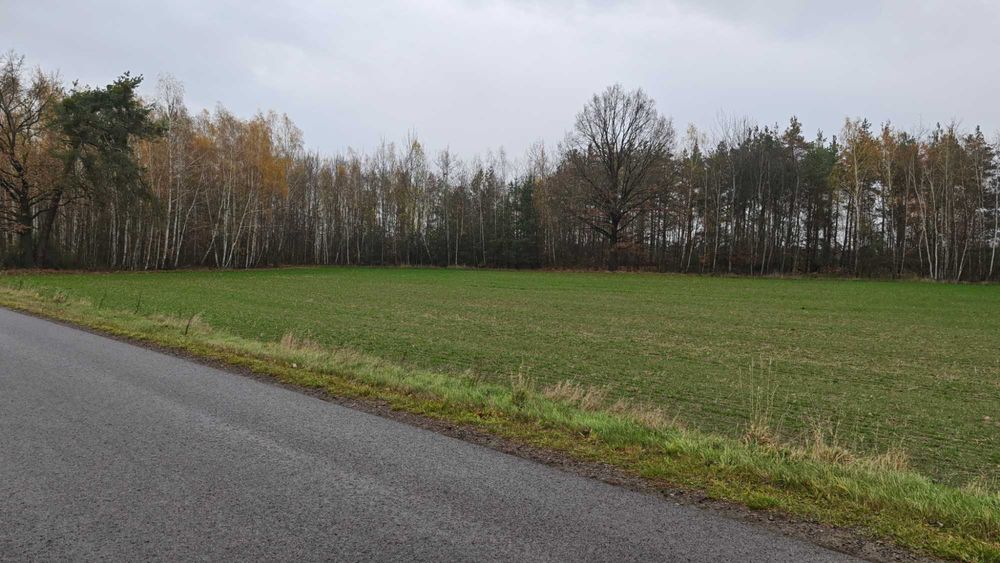 Działki budowlane na sprzedaż