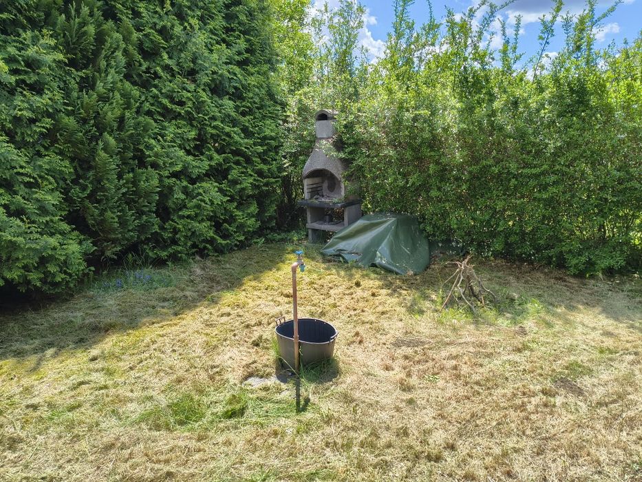 Działka ROD 705 m² Narutowicza - Widok 4