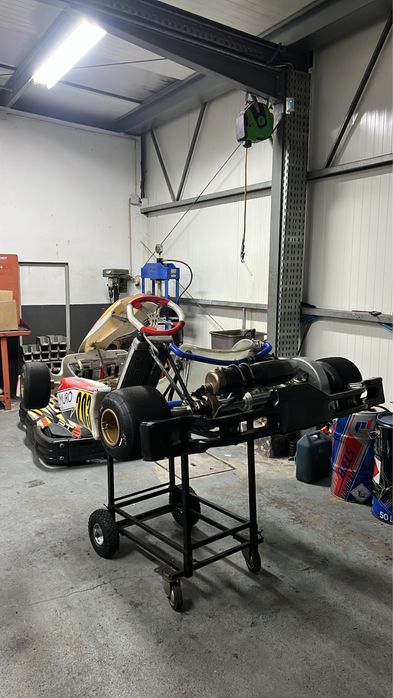 Tony kart IAME X30