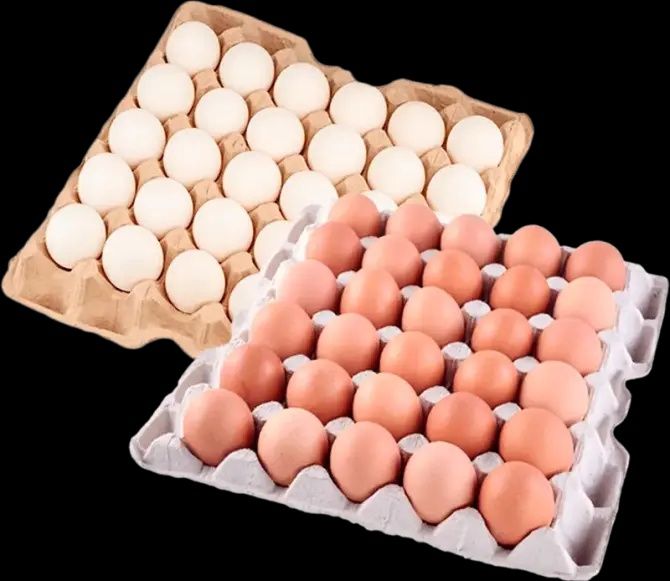 Яйця курячі 0, 1, 2