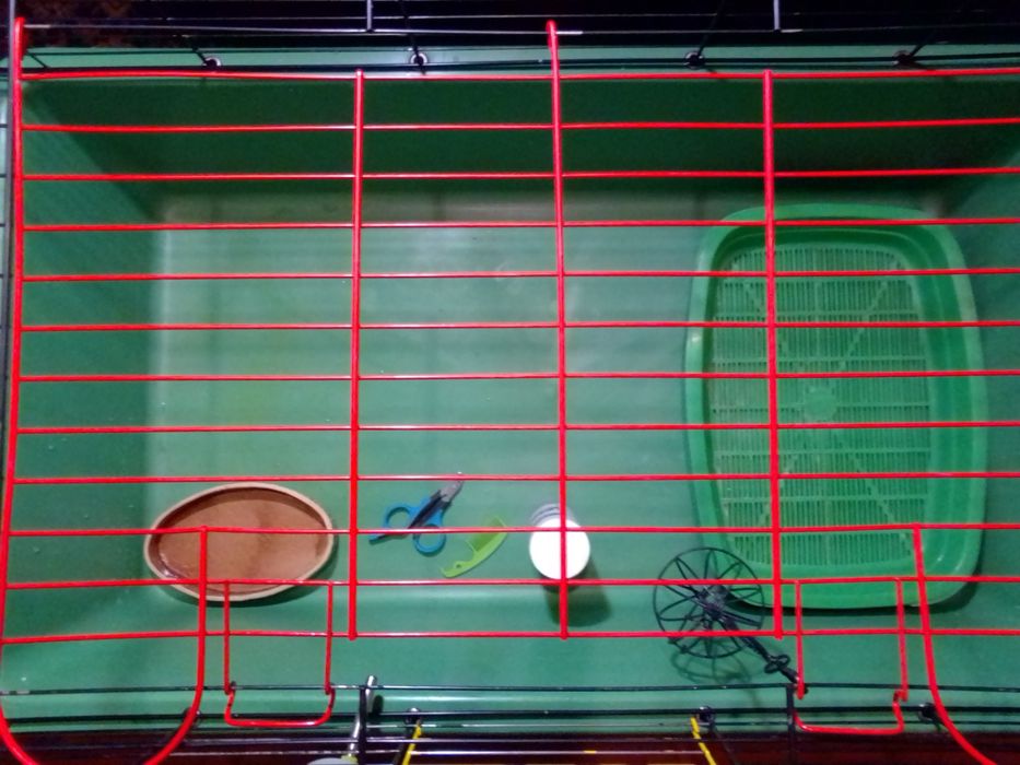 Клетки , когтеточка