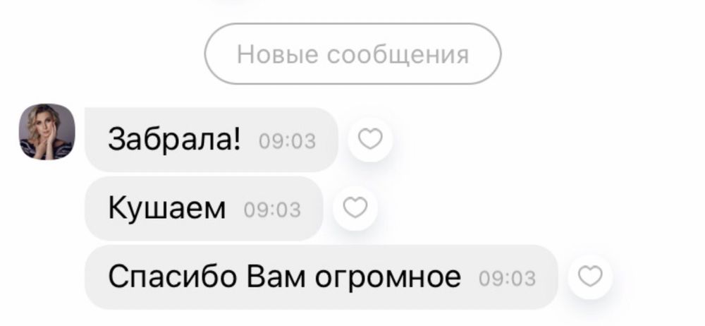 Маленькие красотки той пуделя