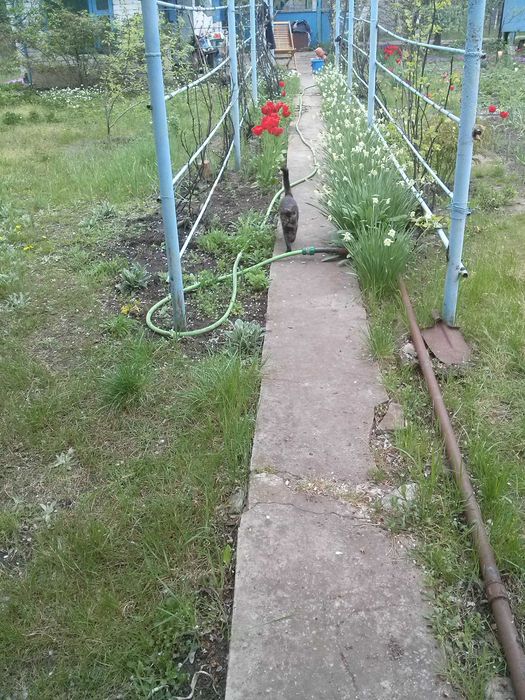 ДАЧА, Дніпро, Дніпровський район (Дніпро-2) Не далеко від "Старі Кодаки" (скрин карти додаю) (дача Днепр)