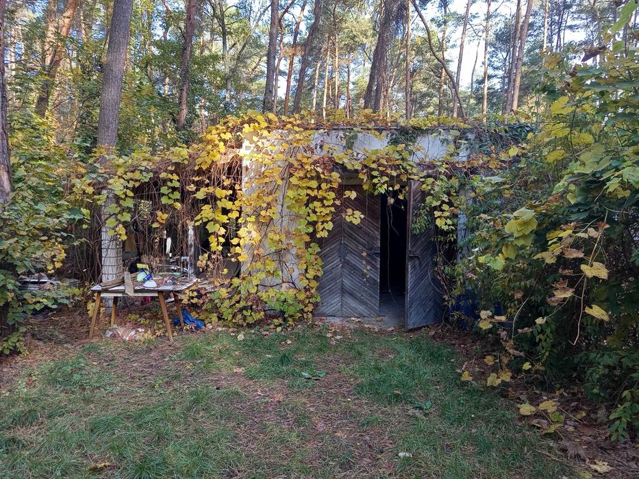 dom sokolniki las