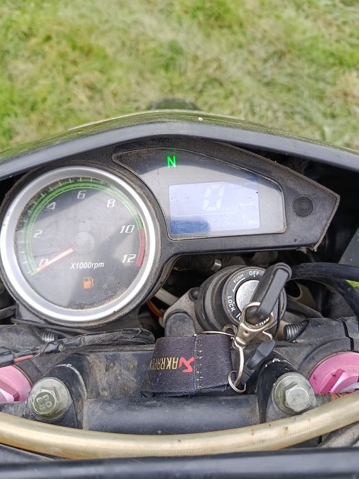 Продам шенерай 6ц