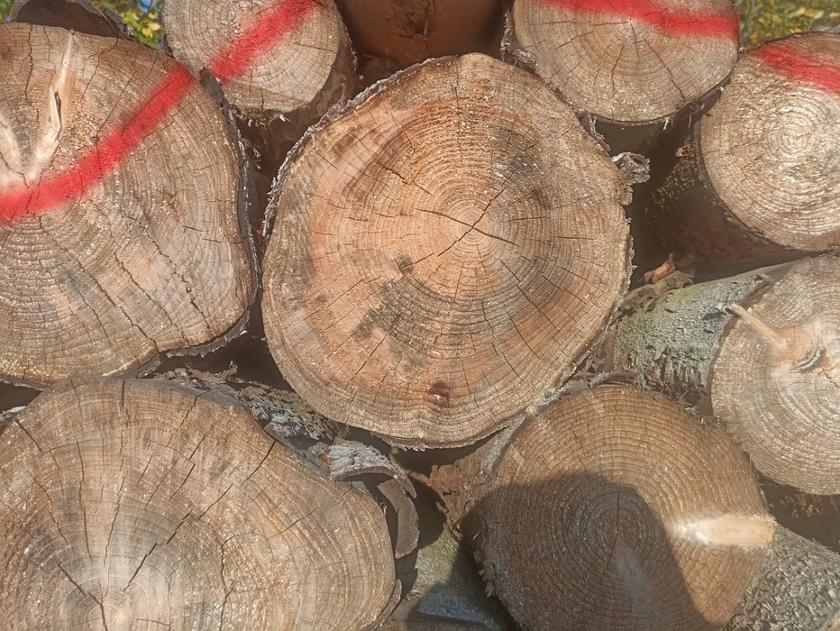 Drewno Kominkowe Opałowe ***SUCHE***