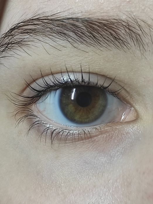 Ламінування вій Виноградар