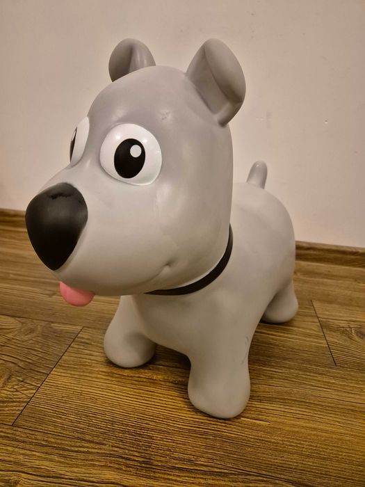 Skoczek piesek Tootiny