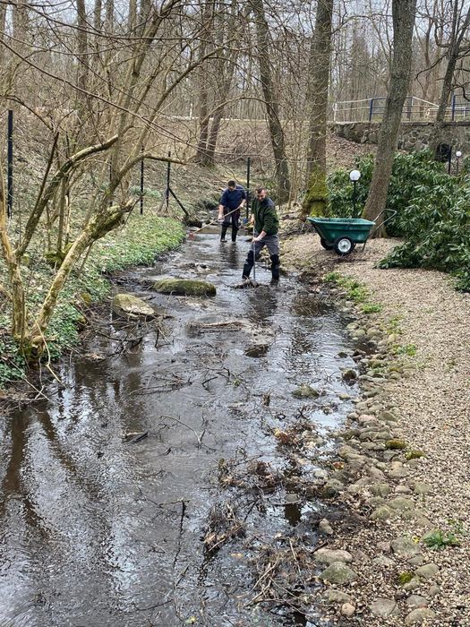 Pielegnacja zieleni i ogrodnictwo