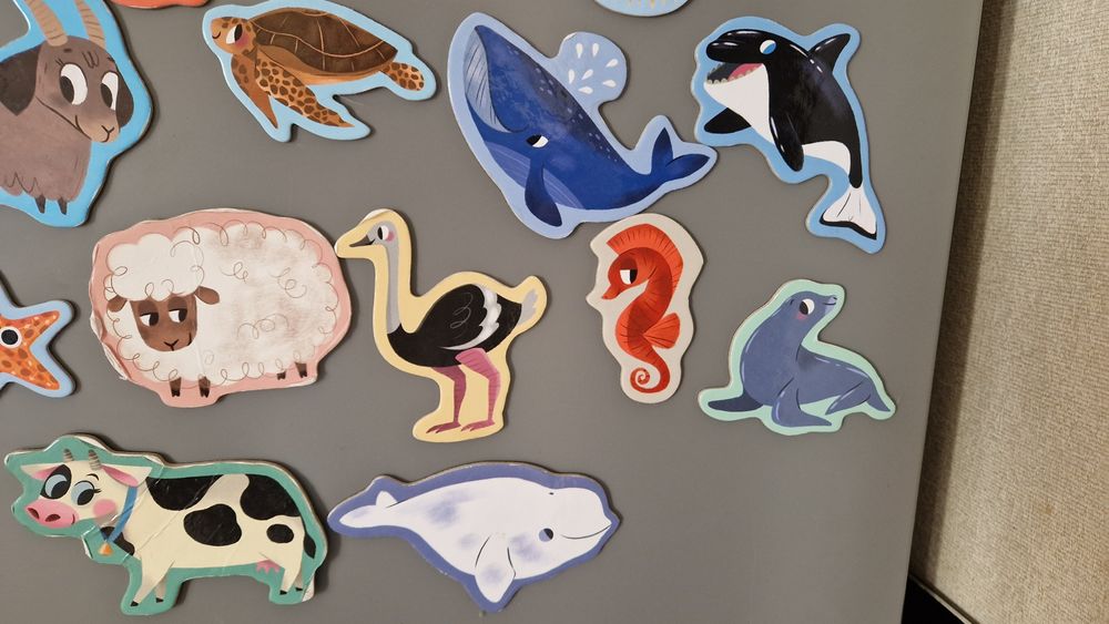 Магніти тварини, набор магнитов на холодильник