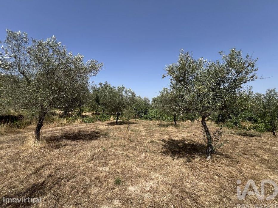 Terreno em Sernancelhe e Sarzeda de 44527,00 m2