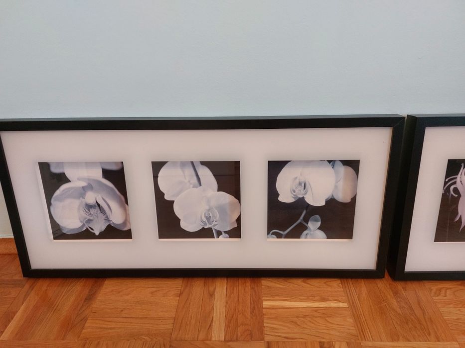 Zestaw 2 obrazów Ikea