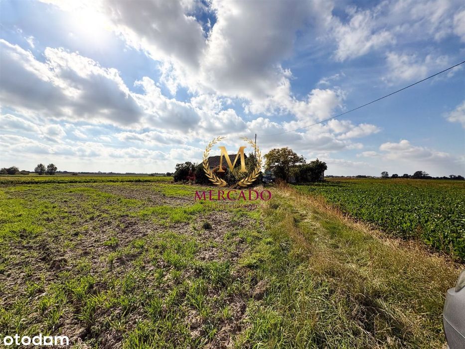 Dom – Żydowo - Widok 5