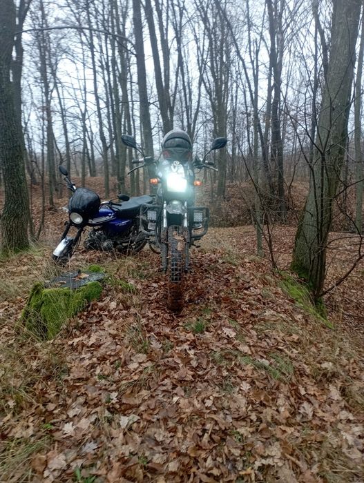 Продам мото шинрай інтрудер 200