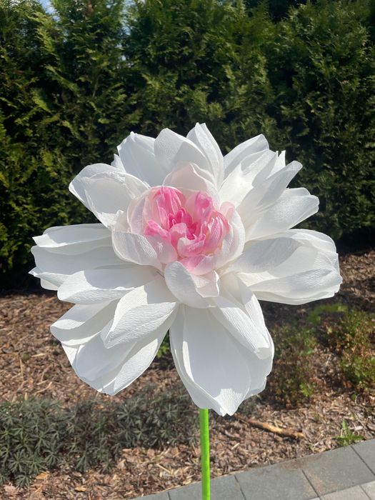 Ozdoba, kwiat z bibuły karbowanej