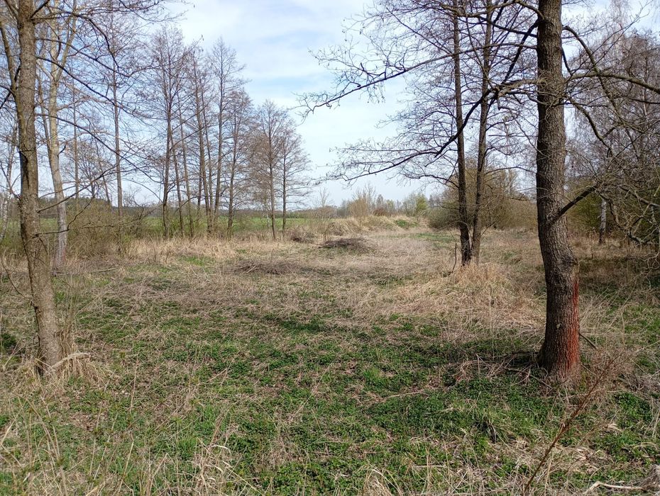 Łąka Bieliki sprzedam