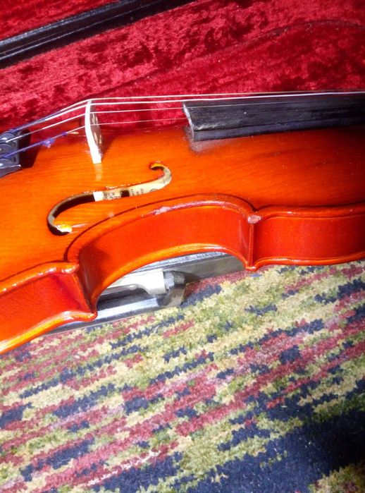 Скрипка 3/4 доросла