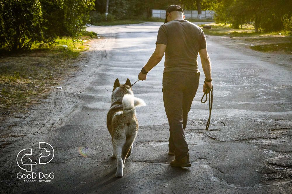 Ультралегкий! Нашийник Контролер для Собак | Good Dog