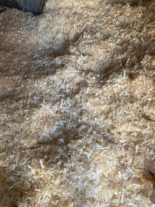 Trociny/wióry/ścinki drewna spod heblarki/frezarki