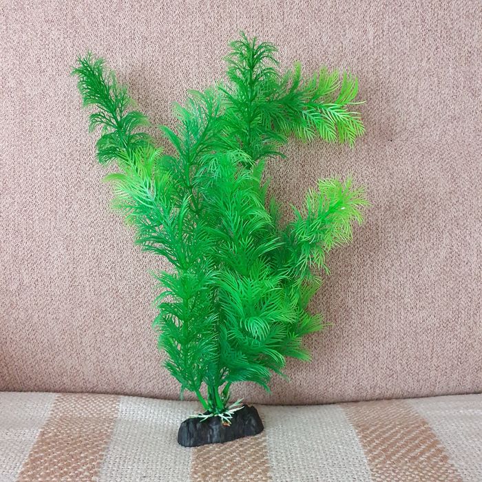 Sztuczna sosluna do akwarium