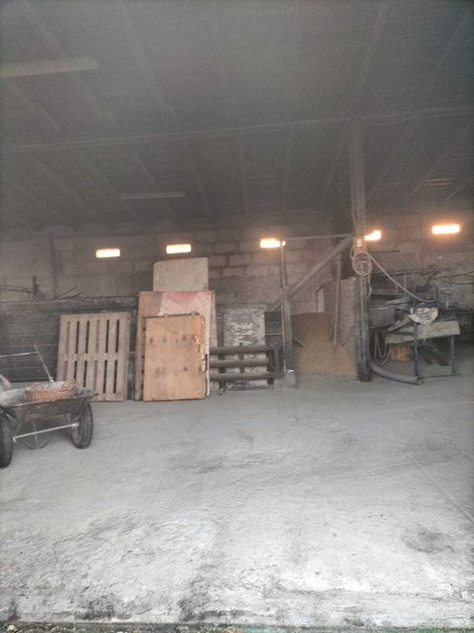 Ферма Свиноферма Скотарство Зерносхови Цех Броварський 600квм 70сот