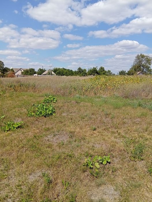 Земельна ділянка