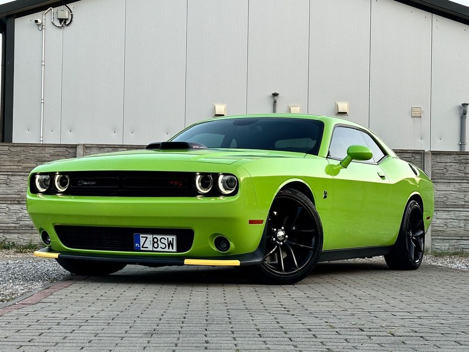 Dodge Challenger Dodge Challenger 6.4 Srt Scat Pack Shaker Alpine