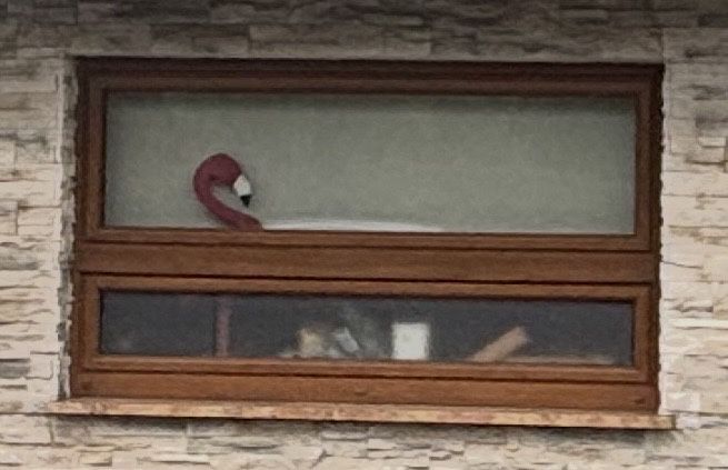 Okno PCV 104x178 cm zloty dąb