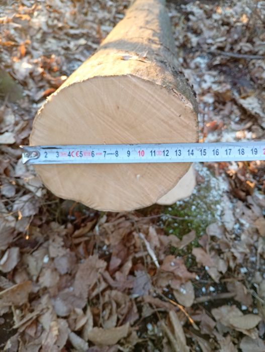 Baliki  grabowe okazja!!