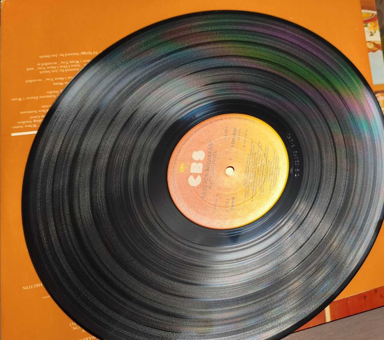 Art Garfunkel "Fate For Breakfast" Winyl