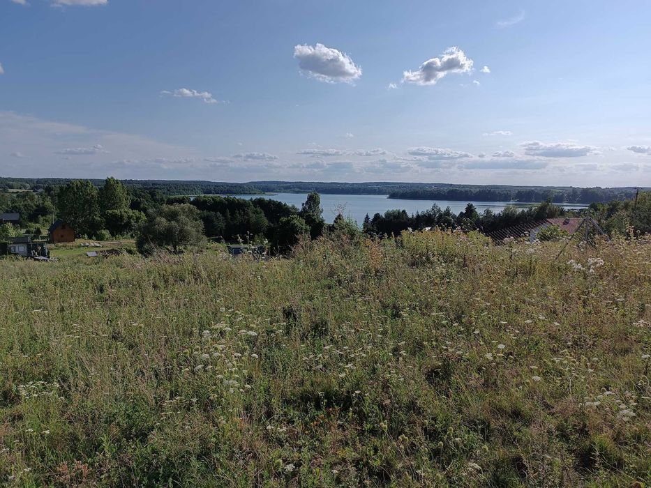 Działka budowlana 3000 m² nad Jeziorem Żalskim | WZ | Media | zapewniony notarialnie dostęp do jeziora - Widok 2