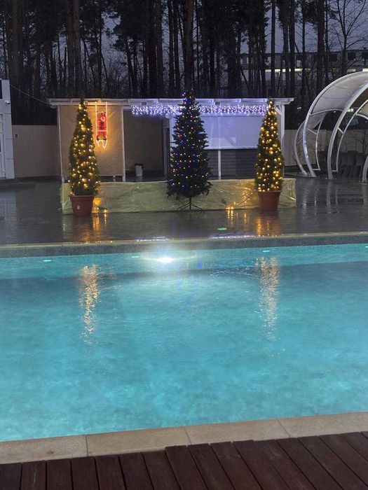 Оренда будинку,Новий Рік,ресторан,альтанка,мангал,сауна