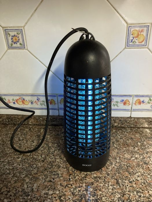 Apanhador de insectos em bom estado