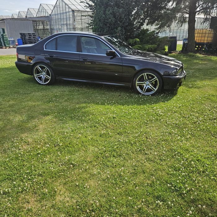 Bmw e39 535 xenon