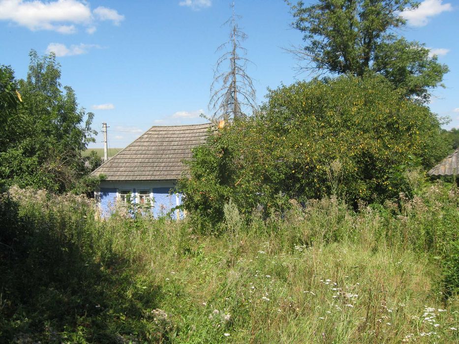 Екобудинок в Кадиївцях саман