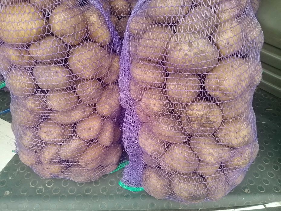 Продам картоплю домашню