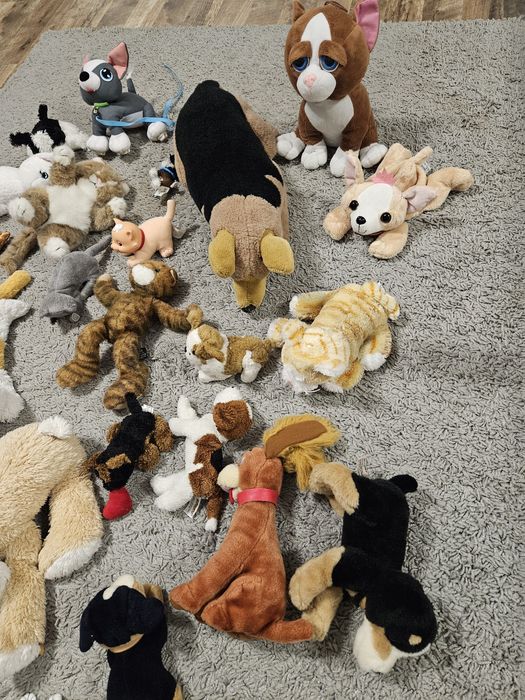 Mega paka zestaw maskotek pieski kotki 35szt