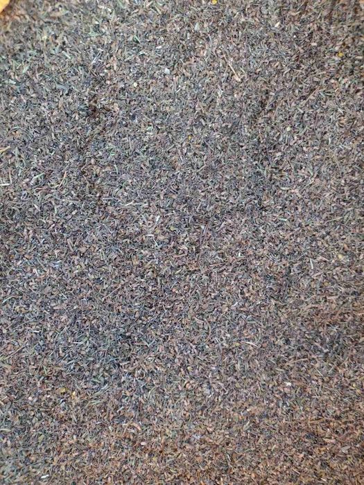 Tymianek nasienny 2025 liść