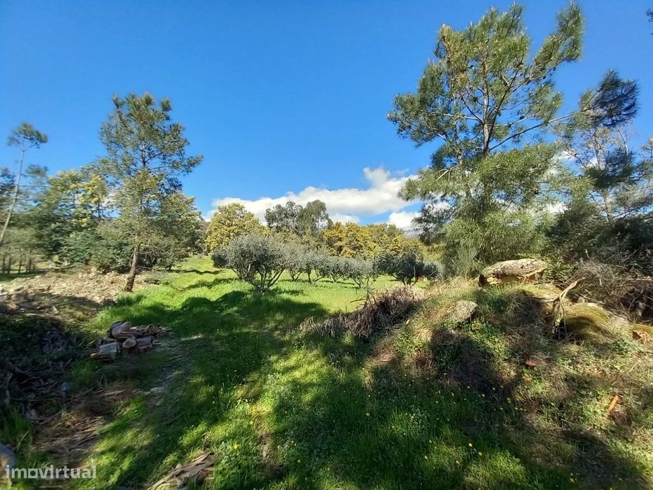 Quinta com 24750m2 Louriçal do campo