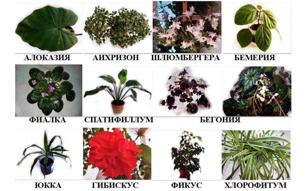 Меховая шуба Зимняя шуба Кроличья шуба Натуральная чёрная шуба кролик