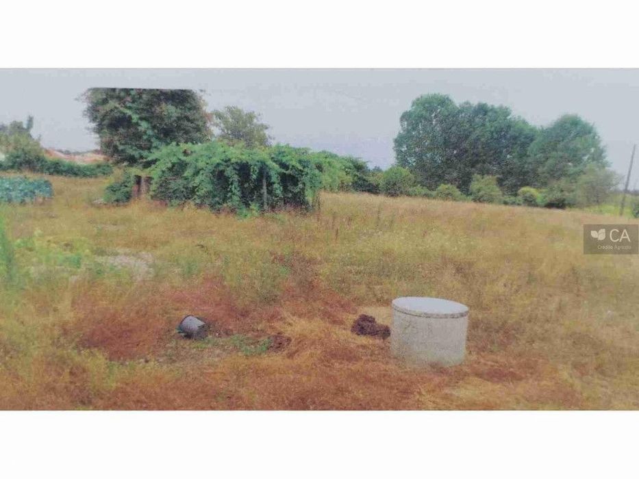 Rustic Land Plot - Vale Saramago - Seixo